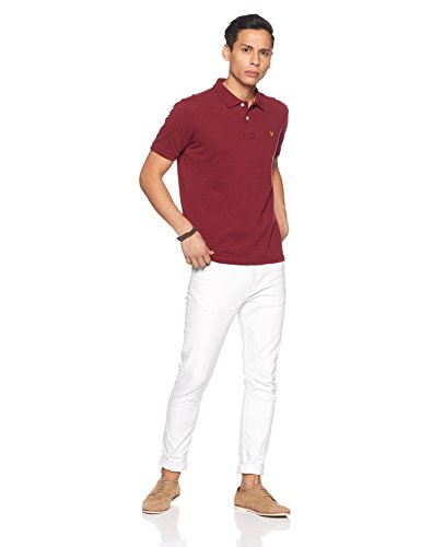 Allen Solly Men Maroon Polo T-Shirt - Image 5