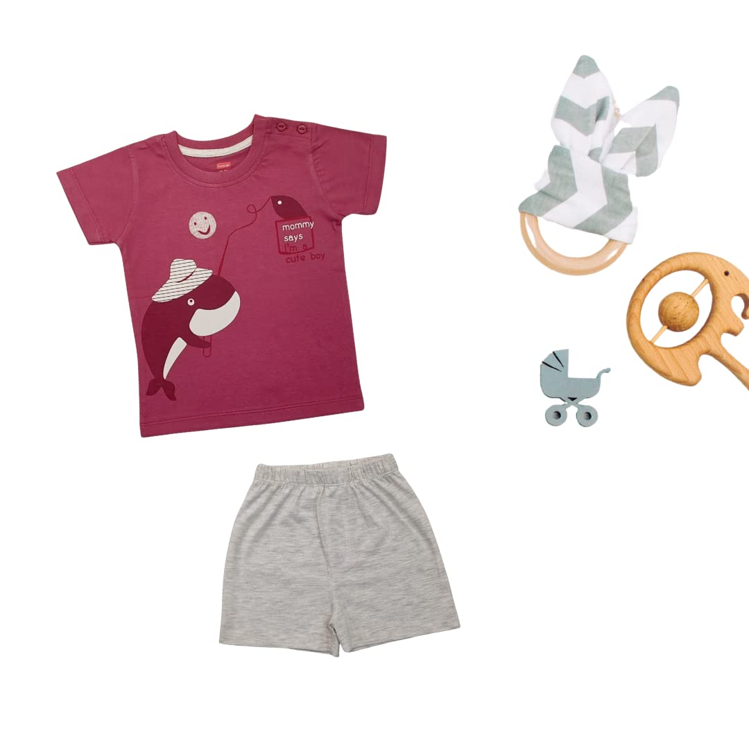 LuvLap Boys T-Shirt & Shorts Sets - Multicolour - Image 3