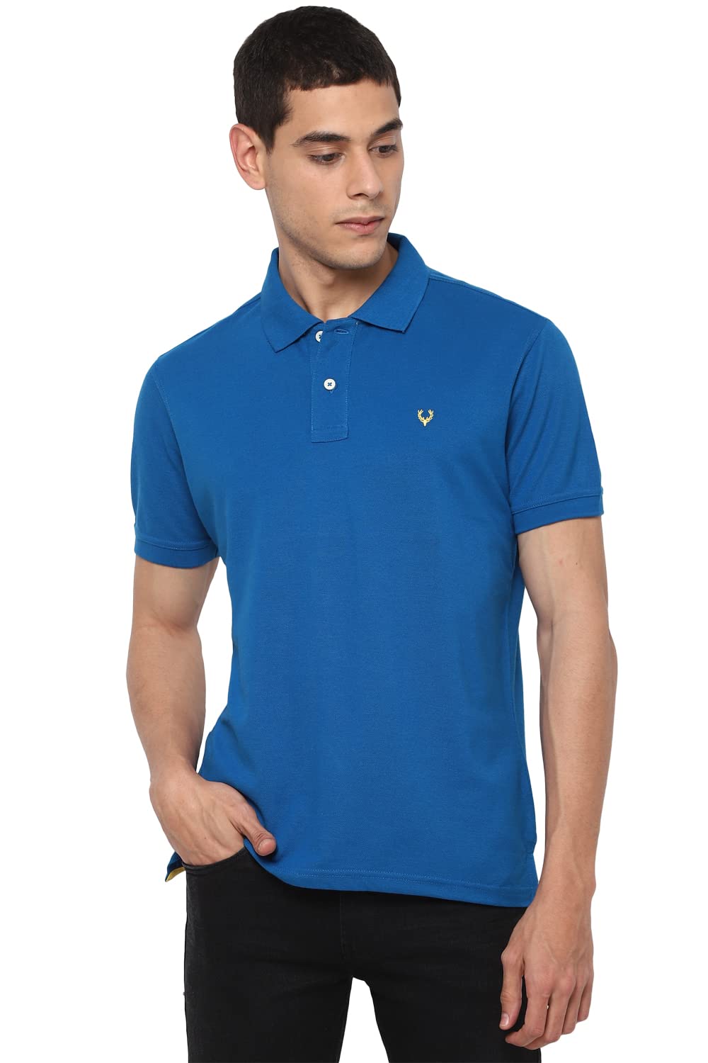 Allen Solly Men Blue Polo Neck T-Shirt