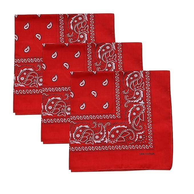 Aenon Cotton Paisley Bandana Handkerchief