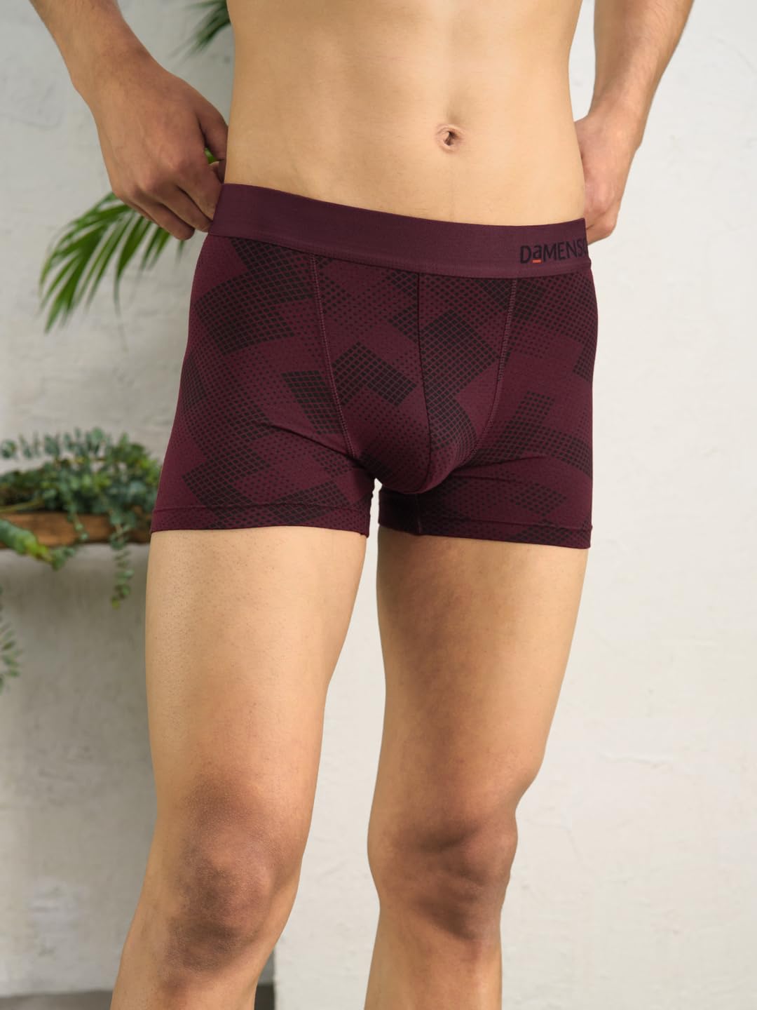 DAMENSCH Printed Trunk Underwear for Women - Image 4