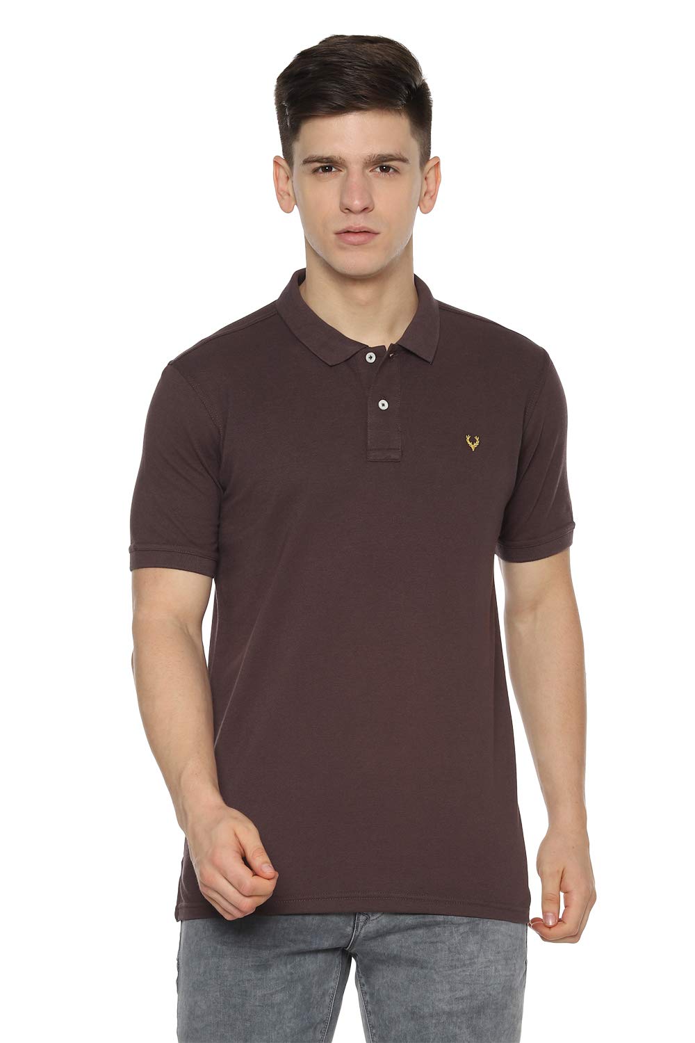 Allen Solly Men Blue Polo T-Shirt