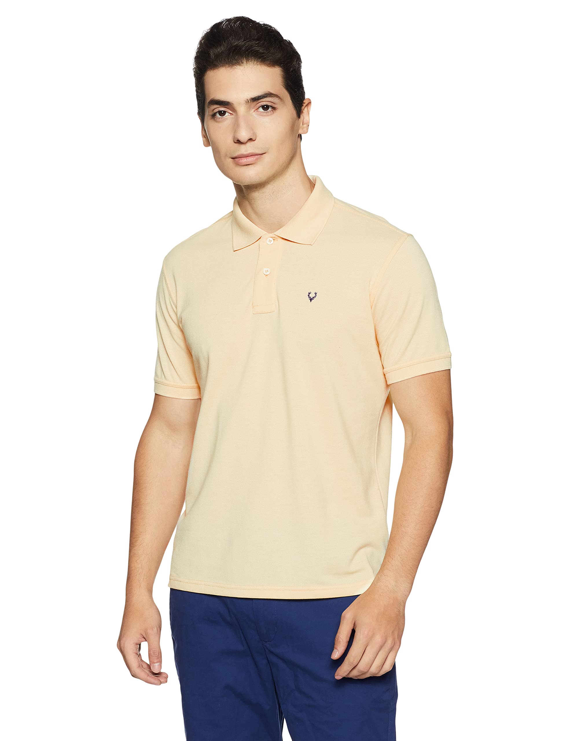 Allen Solly Men Beige Melange Polo Shirt