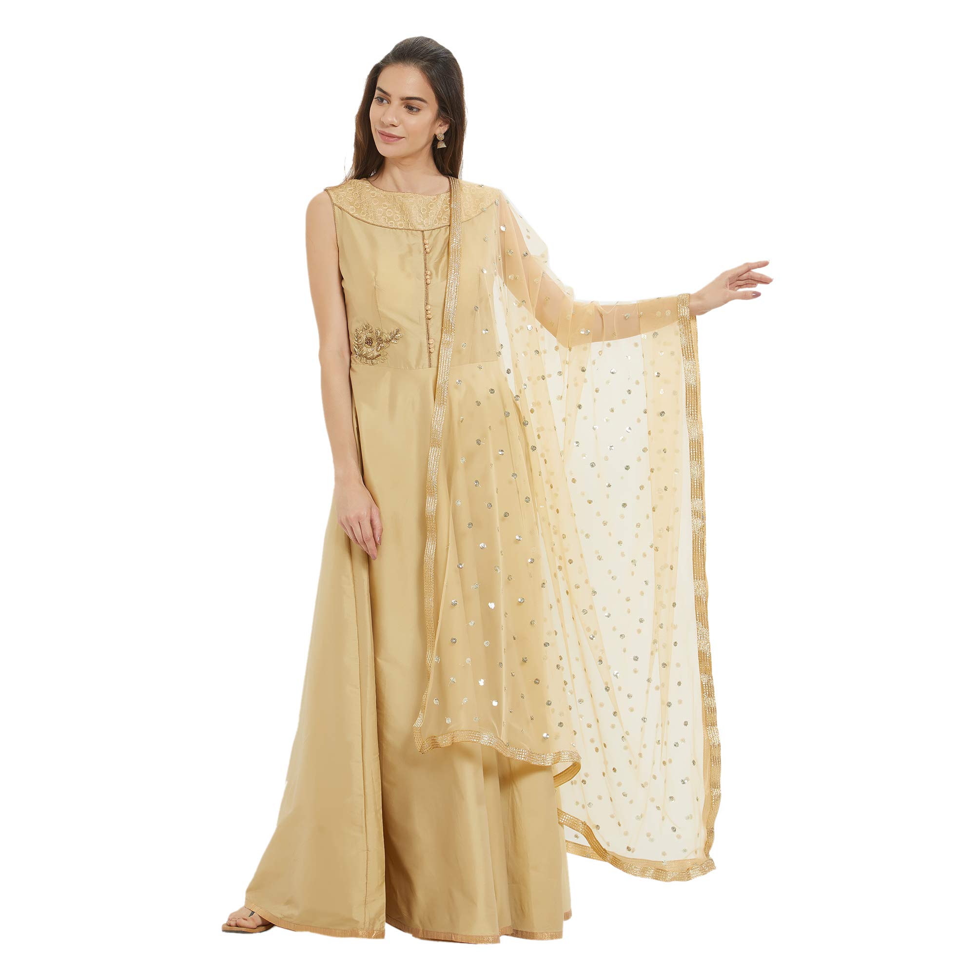 DUPATTA BAZAAR Woman Embellished Beige Net Dupatta