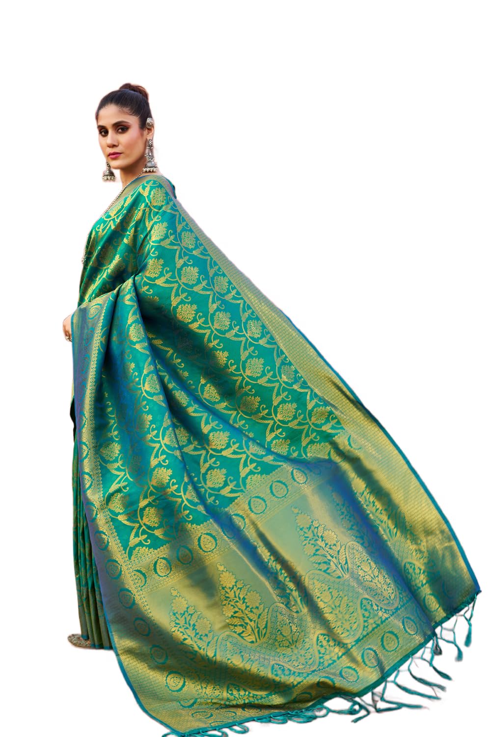 SWORNOF Womens Silk Saree with Zari - Green