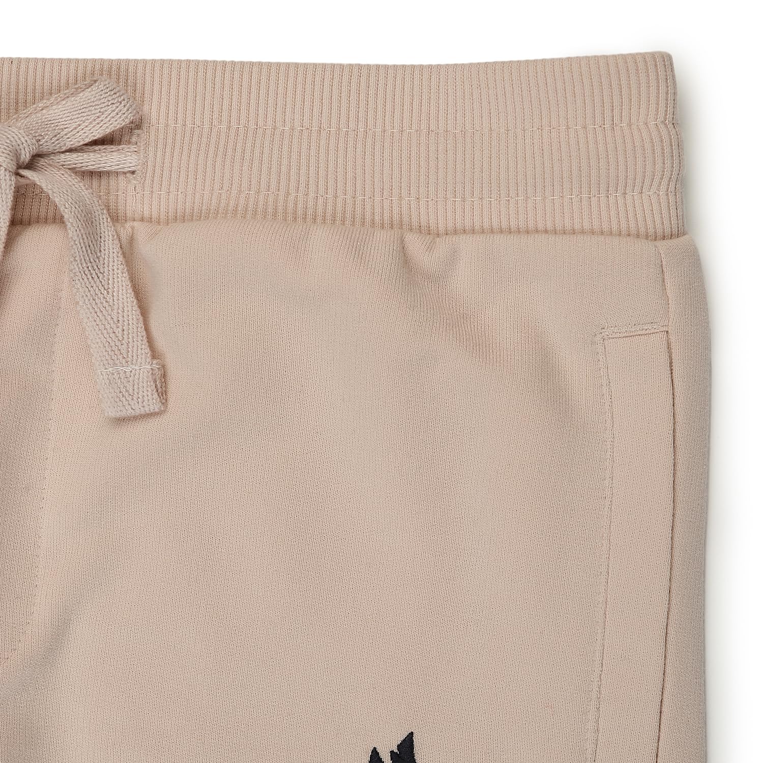 Alan Jones Boys Colorblock Joggers Trackpant - Image 3