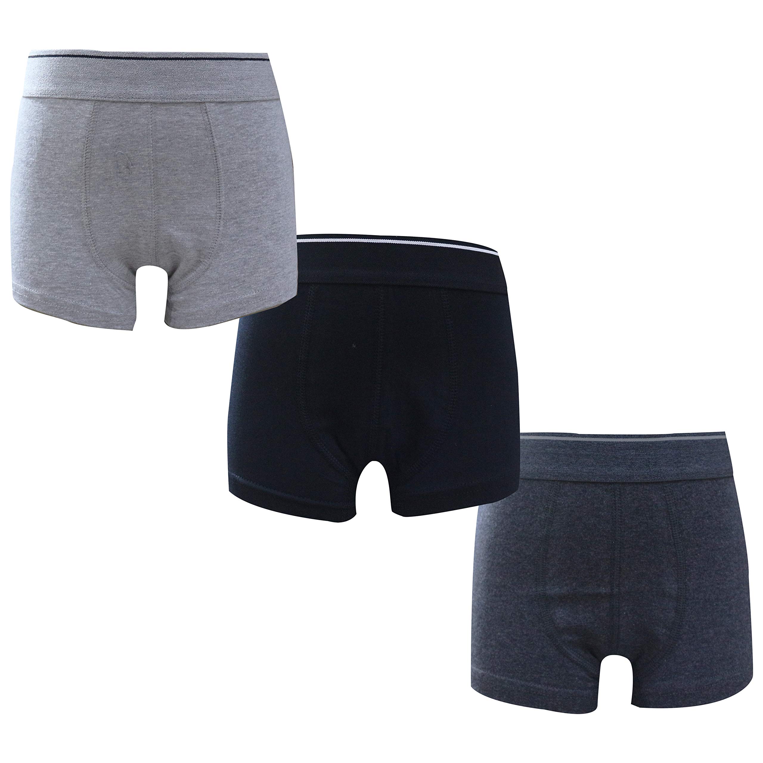 Real Kids Boys Cotton Briefs - Assorted