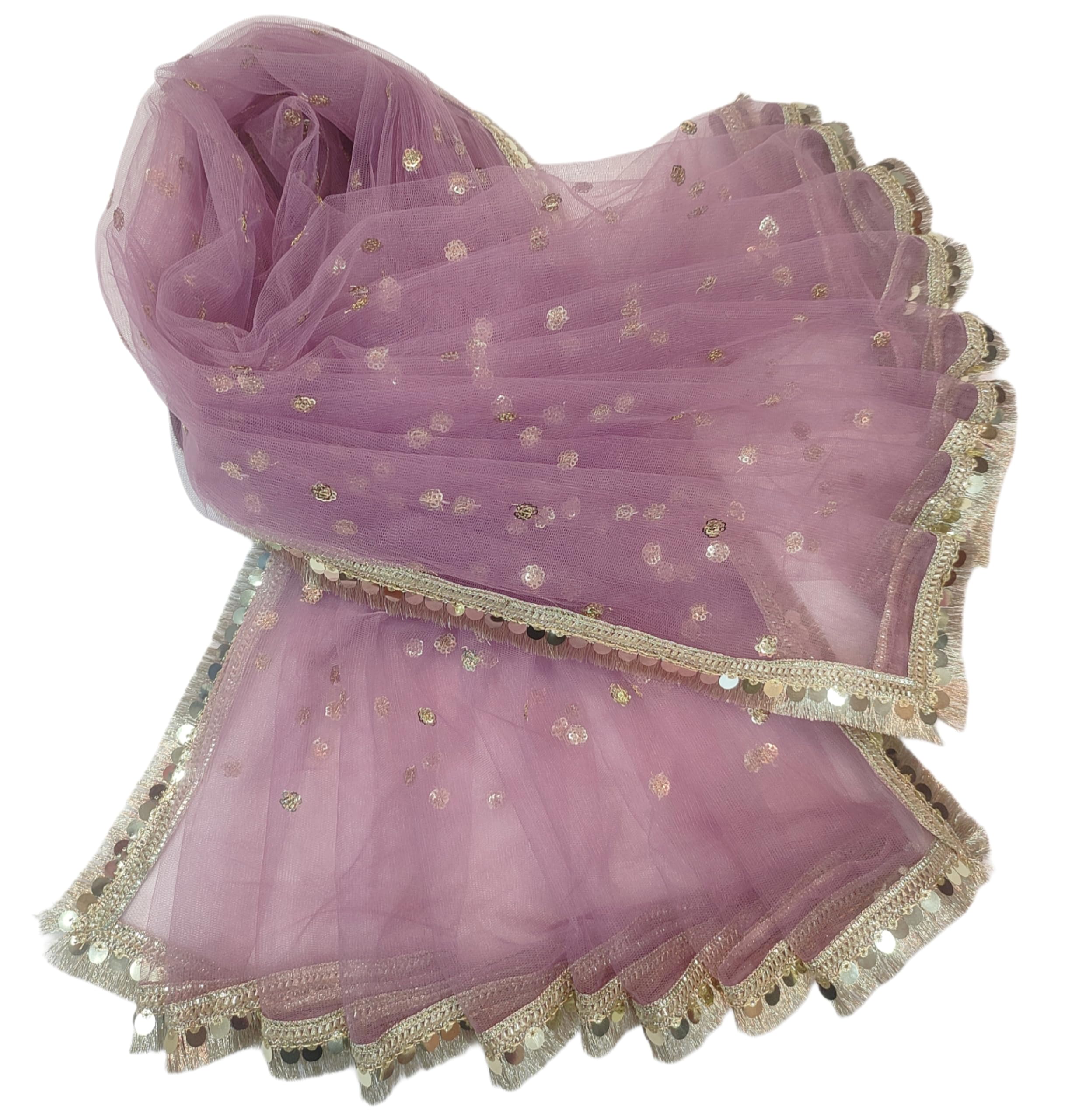 Navti Women Lightweight Net Dupatta with Sequence Embroidery