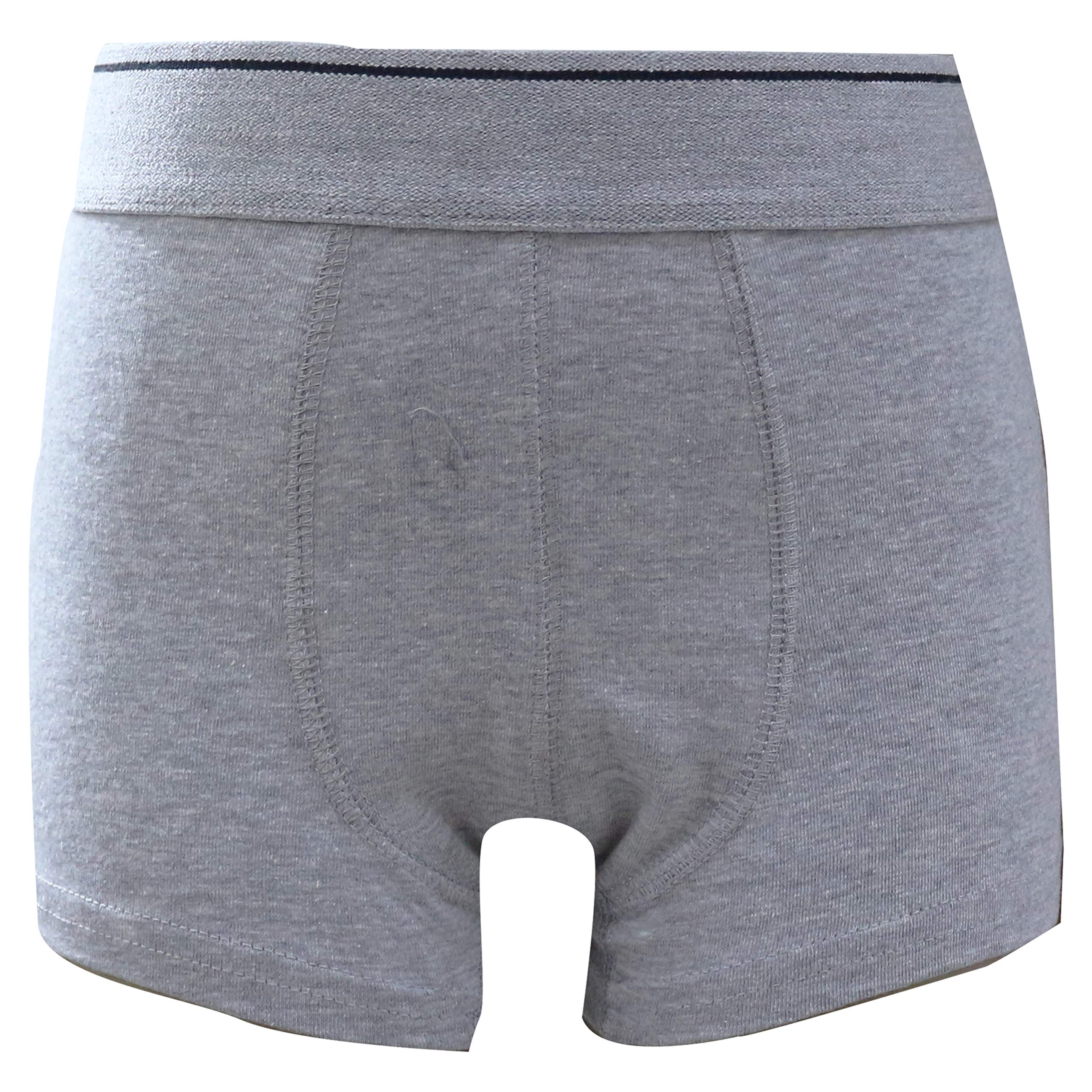 Real Kids Boys Cotton Briefs - Assorted - Image 2