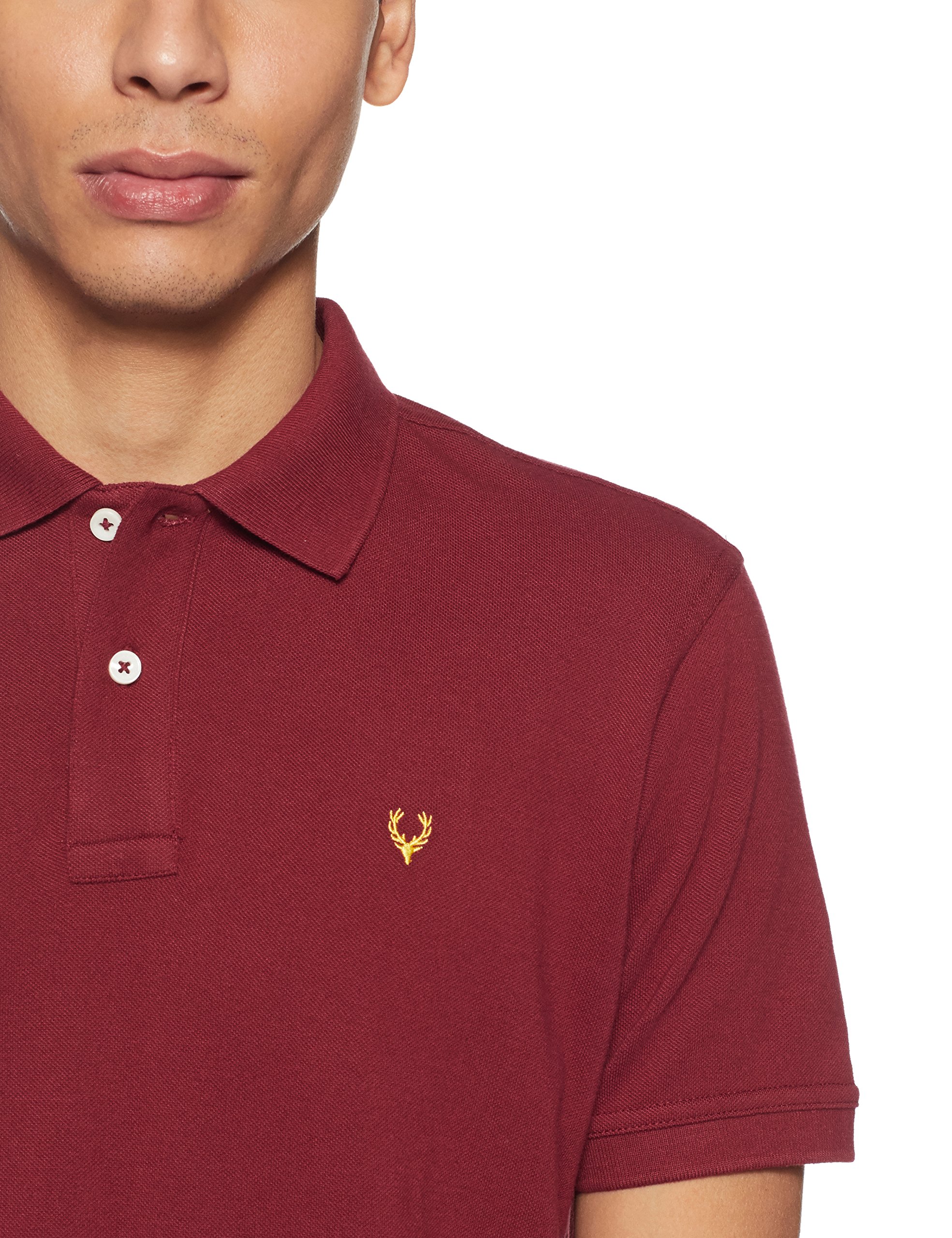 Allen Solly Men Maroon Polo T-Shirt - Image 3